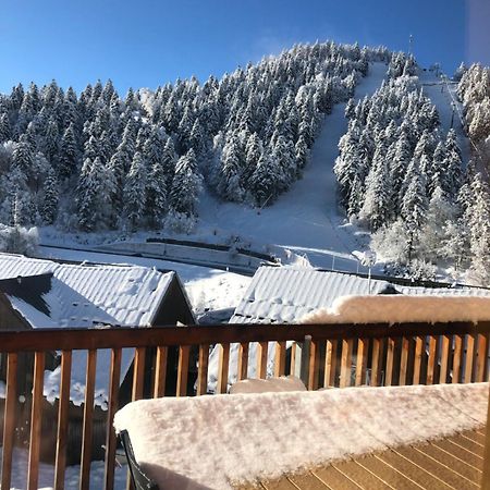 Appartement Aux Pieds Des Pistes De Ski 拉维西尔 外观 照片