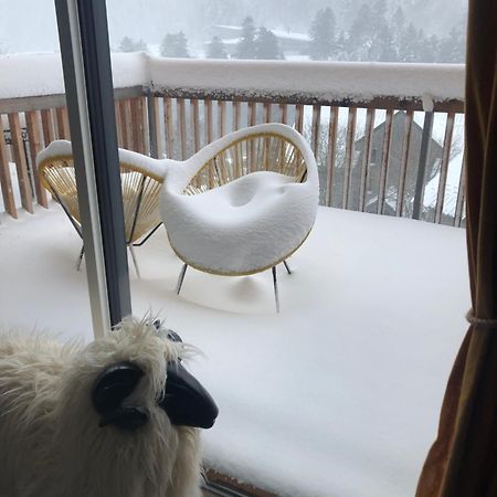 Appartement Aux Pieds Des Pistes De Ski 拉维西尔 外观 照片
