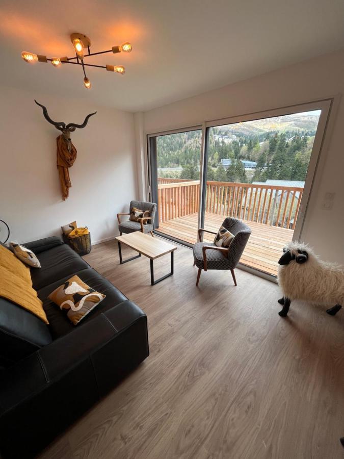 Appartement Aux Pieds Des Pistes De Ski 拉维西尔 外观 照片