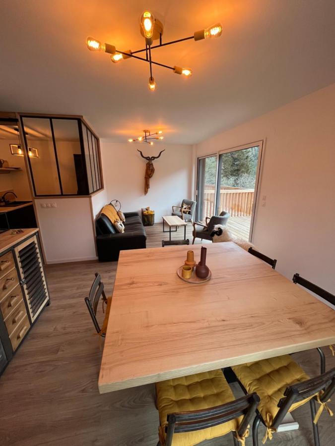 Appartement Aux Pieds Des Pistes De Ski 拉维西尔 外观 照片