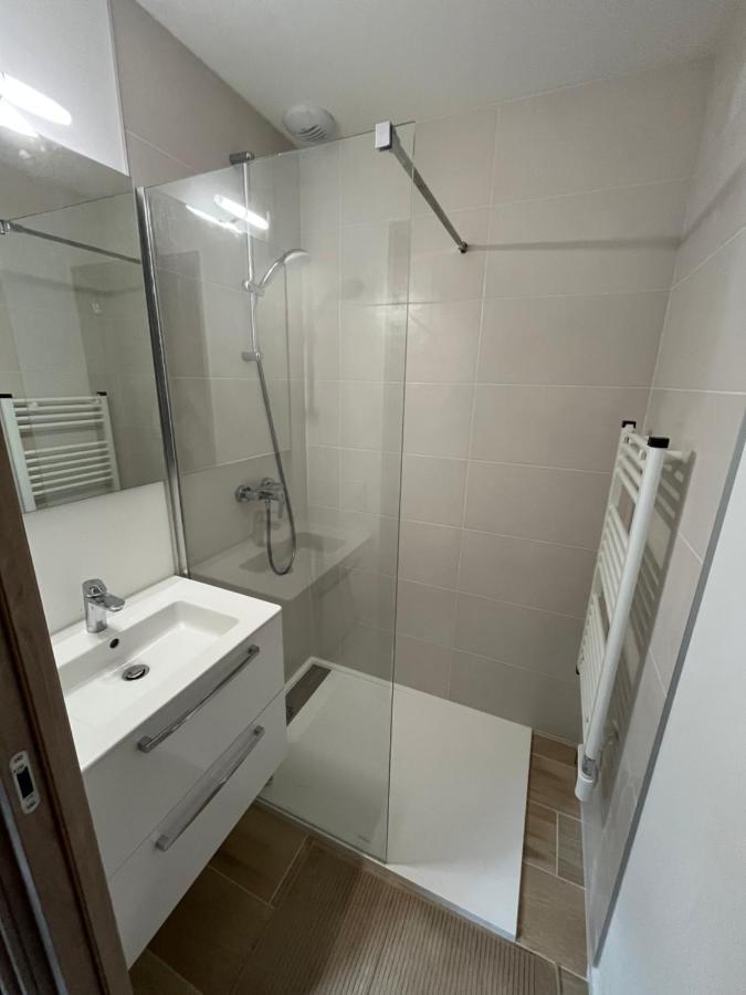 Appartement Aux Pieds Des Pistes De Ski 拉维西尔 外观 照片