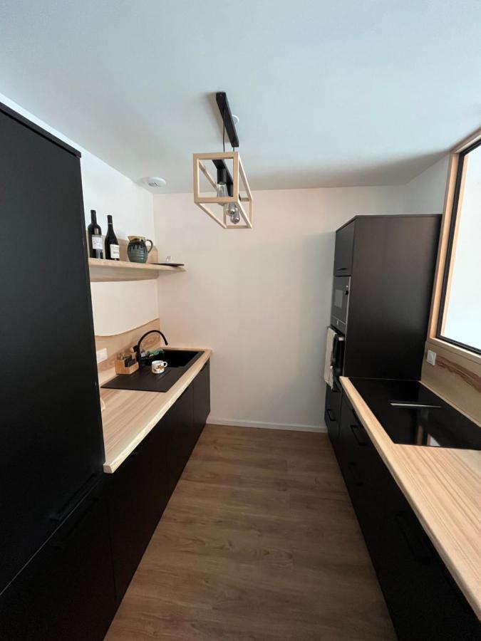 Appartement Aux Pieds Des Pistes De Ski 拉维西尔 外观 照片