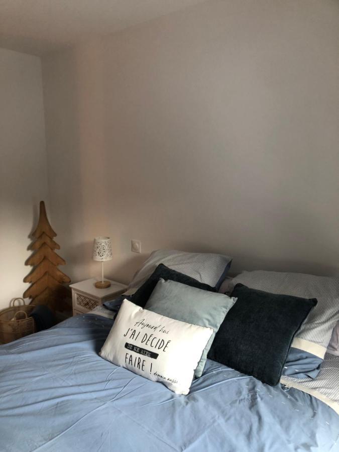 Appartement Aux Pieds Des Pistes De Ski 拉维西尔 外观 照片