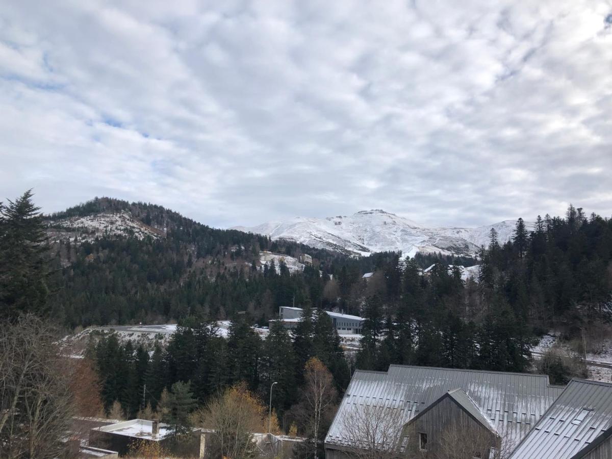 Appartement Aux Pieds Des Pistes De Ski 拉维西尔 外观 照片