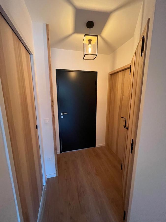 Appartement Aux Pieds Des Pistes De Ski 拉维西尔 外观 照片