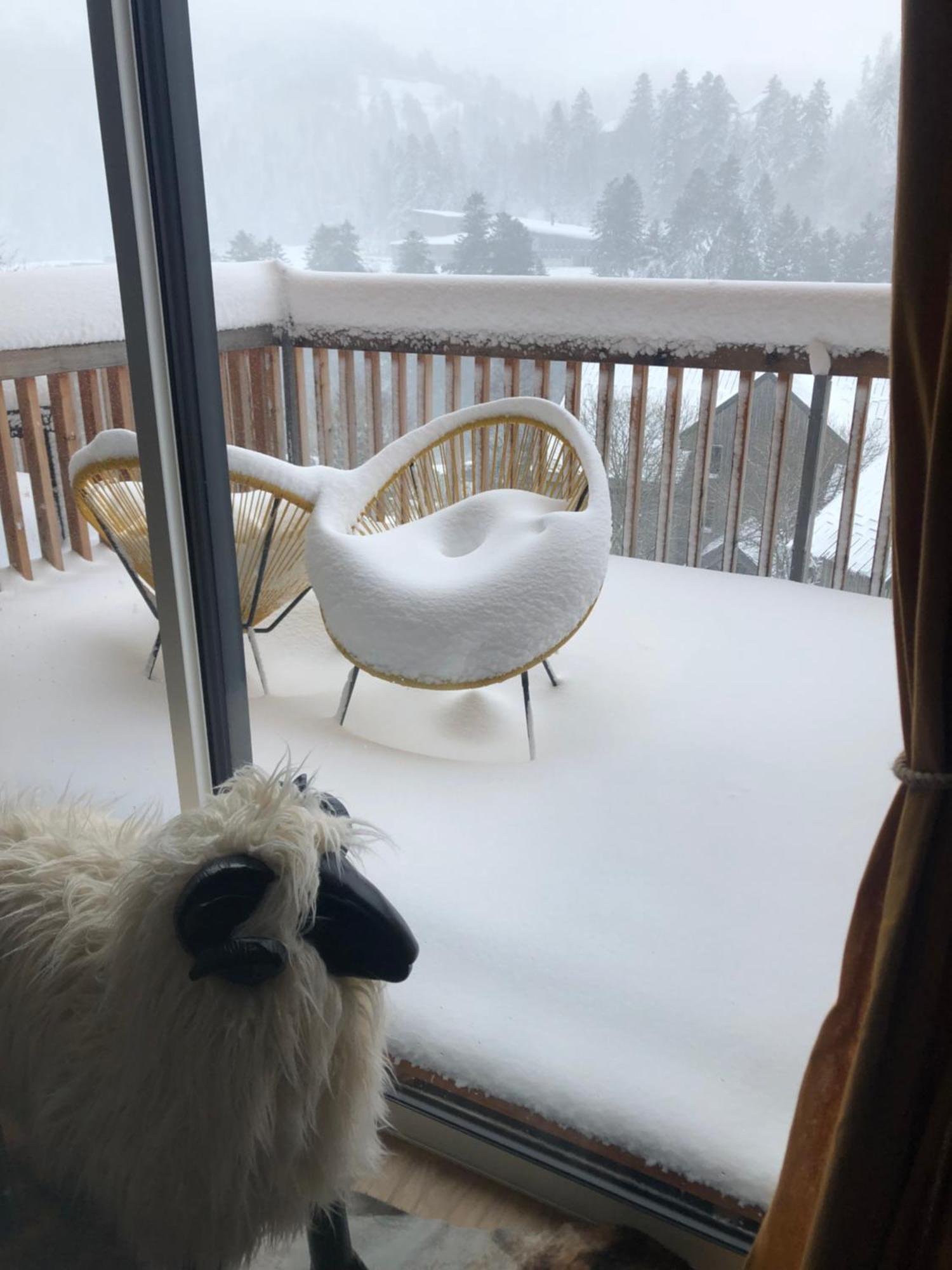 Appartement Aux Pieds Des Pistes De Ski 拉维西尔 外观 照片